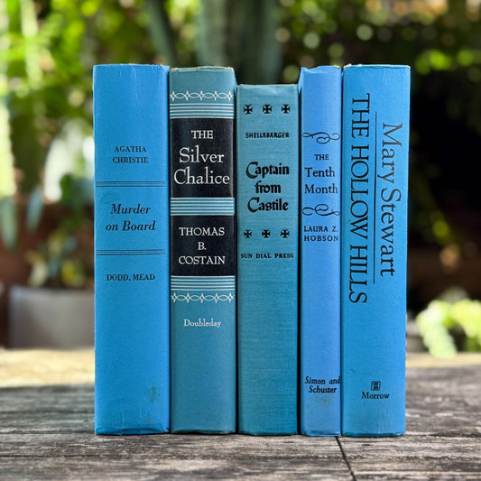 Bright Blue and Black Retro Decorative Books for Display - Pretty Old Books