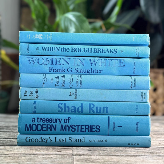 Bright Blue Retro Books for Display - Pretty Old Books