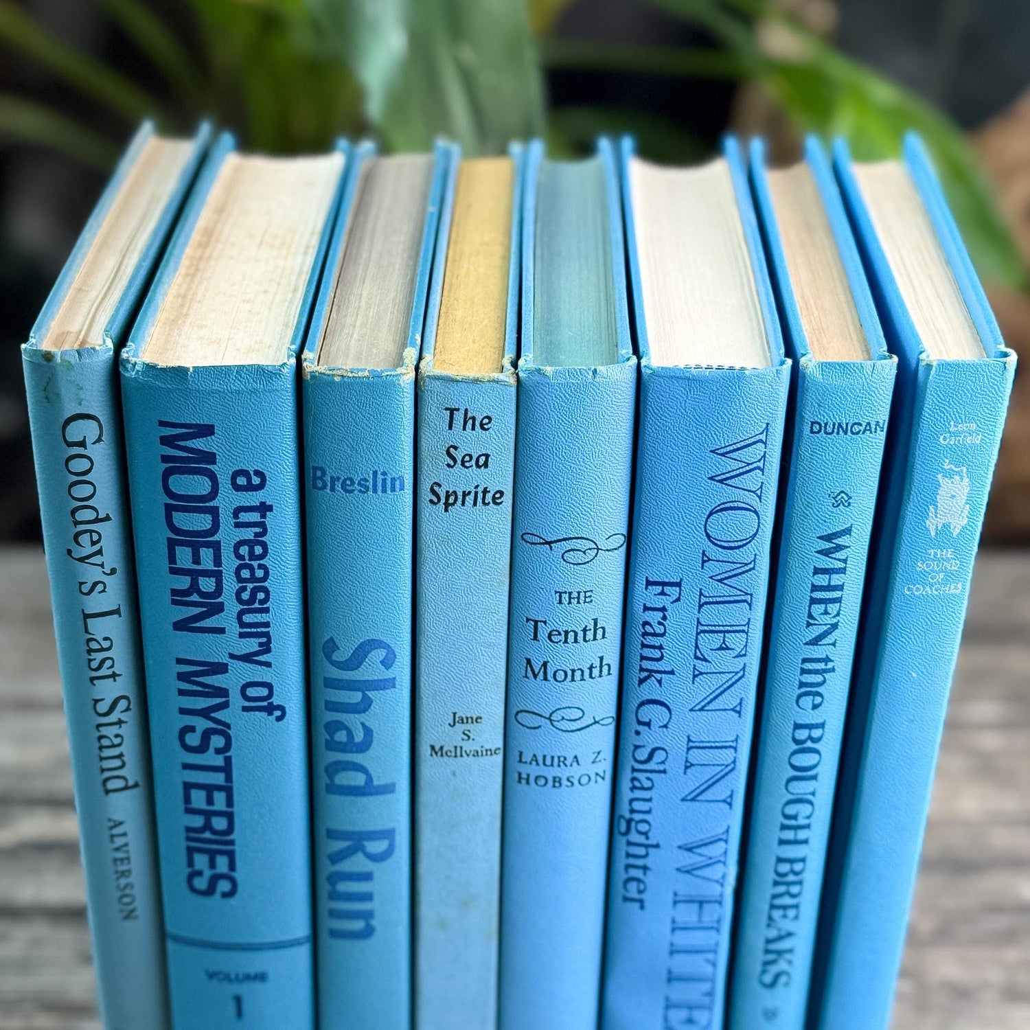 Bright Blue Retro Books for Display - Pretty Old Books