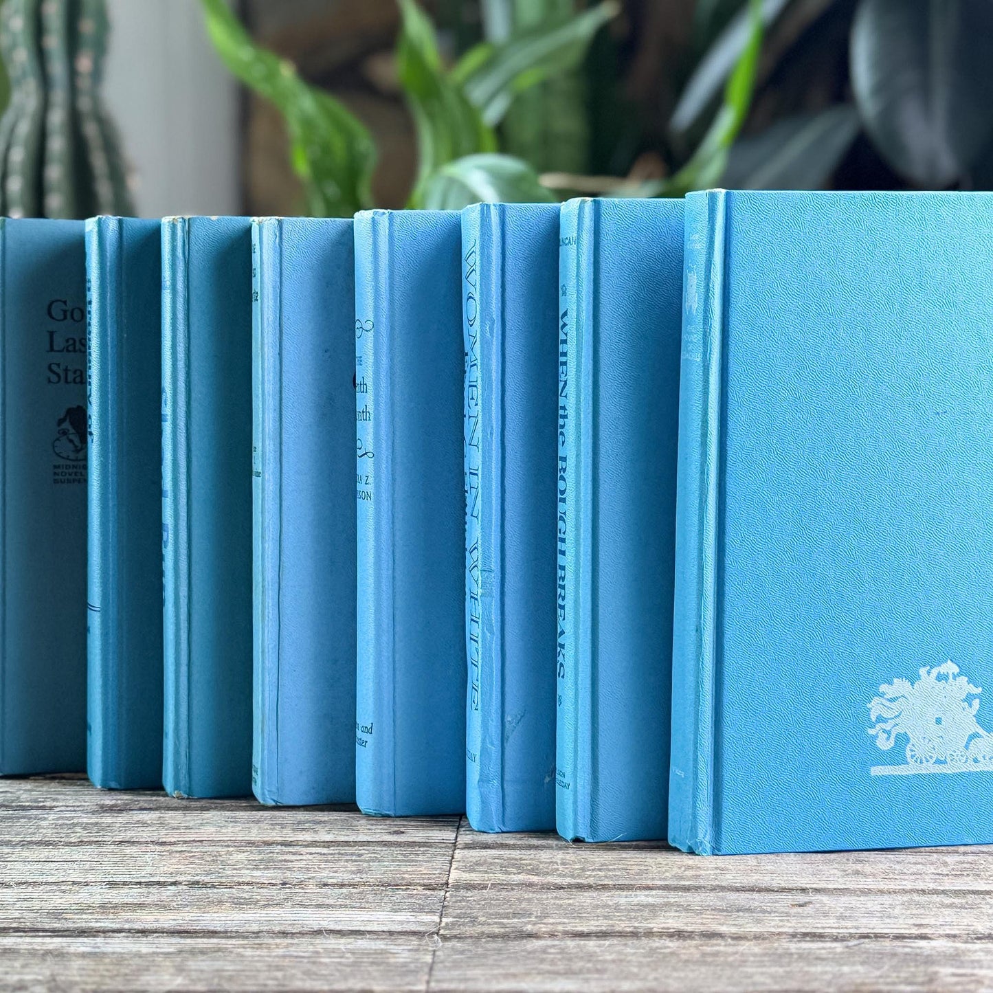 Bright Blue Retro Books for Display - Pretty Old Books