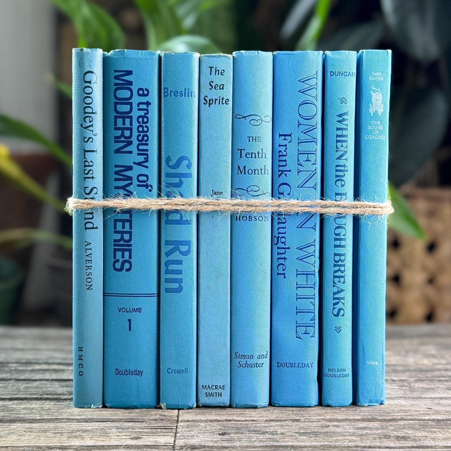 Bright Blue Retro Books for Display - Pretty Old Books