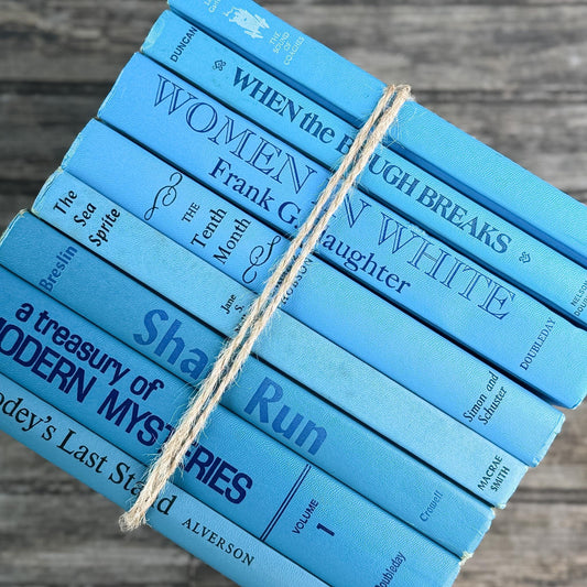 Bright Blue Retro Books for Display - Pretty Old Books