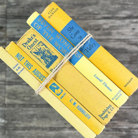 Bright Yellow and Blue Vintage Book Bundle for Shelf Styling - Pretty Old Books