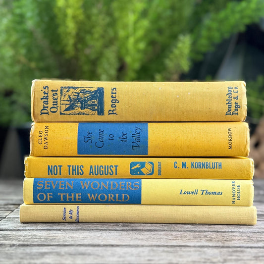 Bright Yellow and Blue Vintage Book Bundle for Shelf Styling - Pretty Old Books