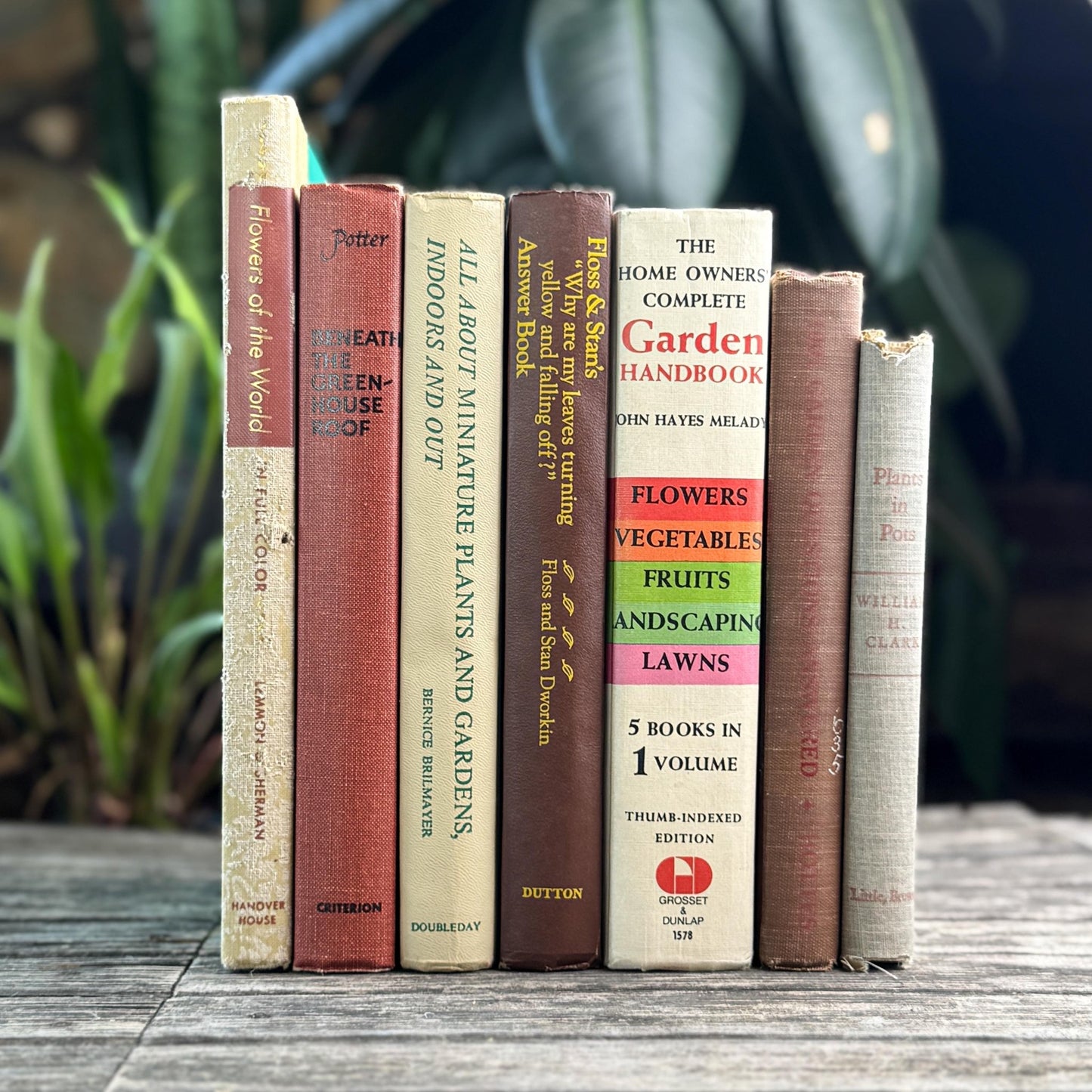 Brown and Beige Neutral Vintage Gardening Books for Garden Lover - Pretty Old Books