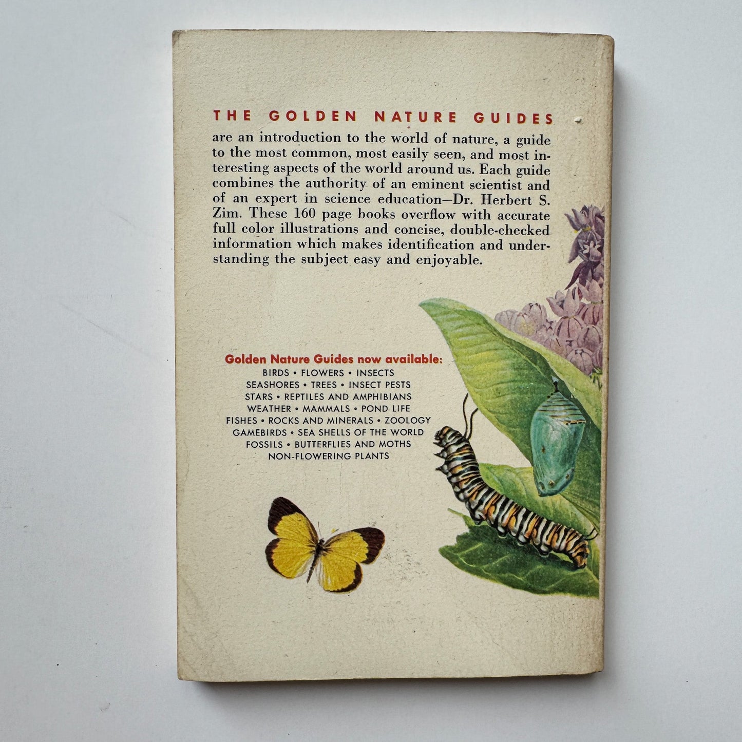 Butterflies and Moths, A Golden Nature Guide, 1964 - Pretty Old Books