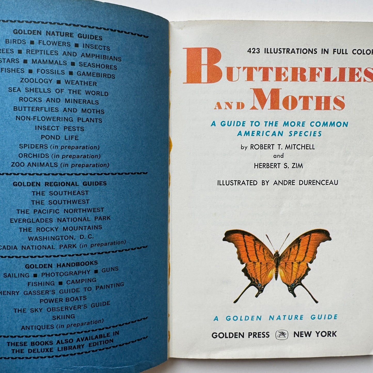 Butterflies and Moths, A Golden Nature Guide, 1964 - Pretty Old Books