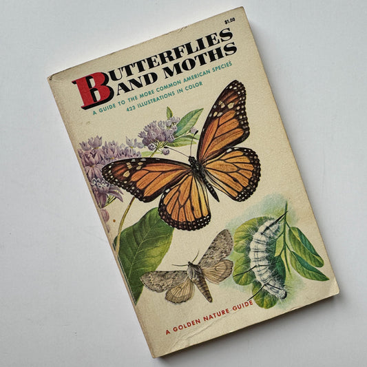 Butterflies and Moths, A Golden Nature Guide, 1964 - Pretty Old Books