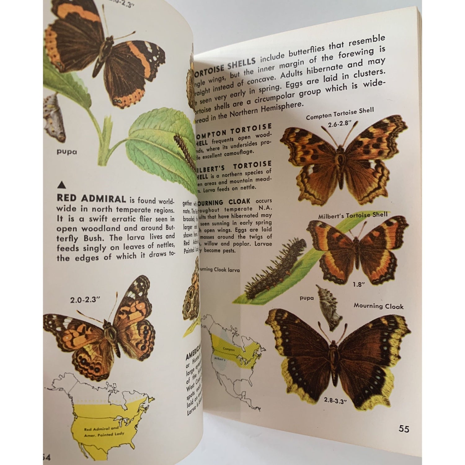 Butterflies and Moths, A Golden Nature Guide, 1964 - Pretty Old Books