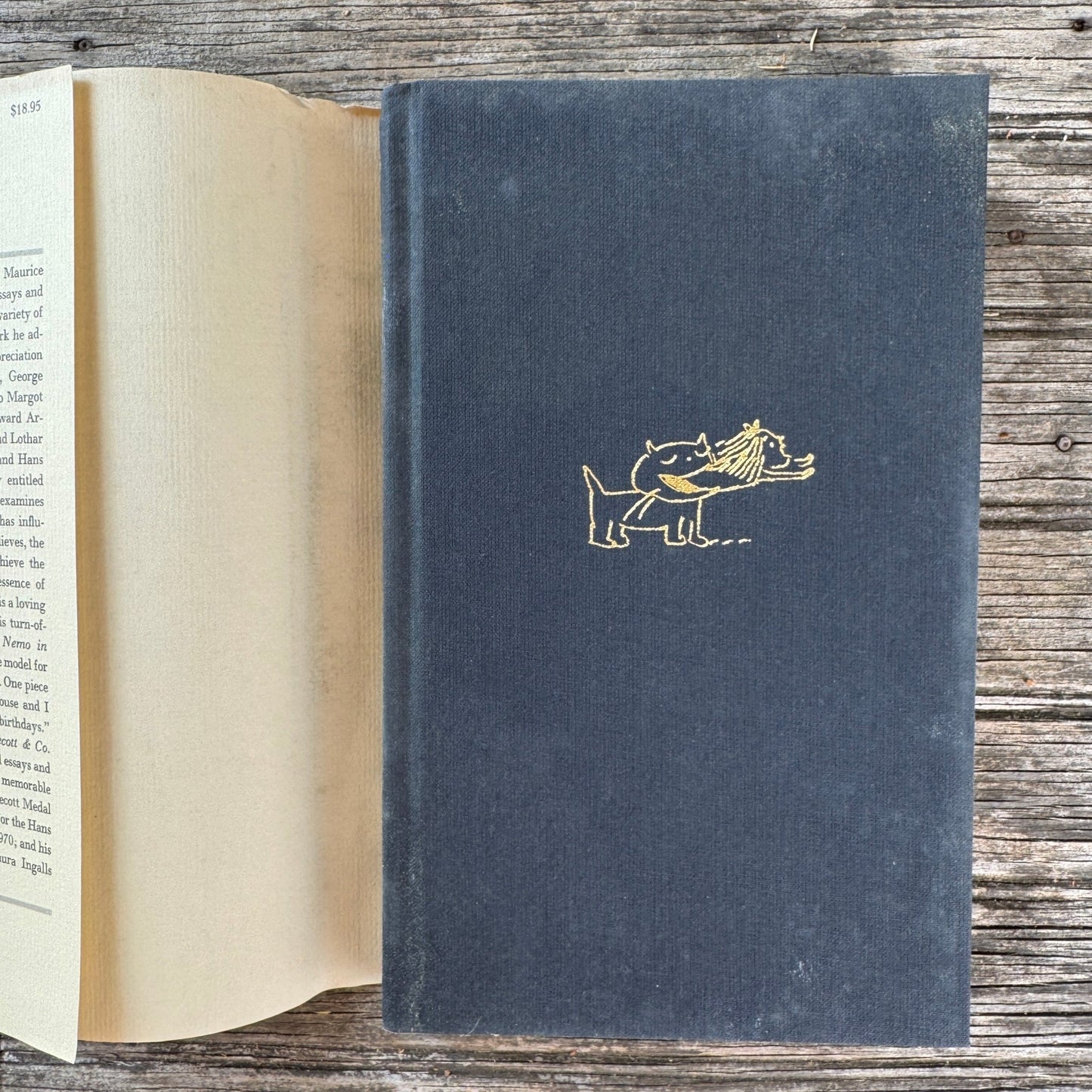 Caldecott & Co., Notes on Books and Pictures, Maurice Sendak, 1988, First Edition - Pretty Old Books