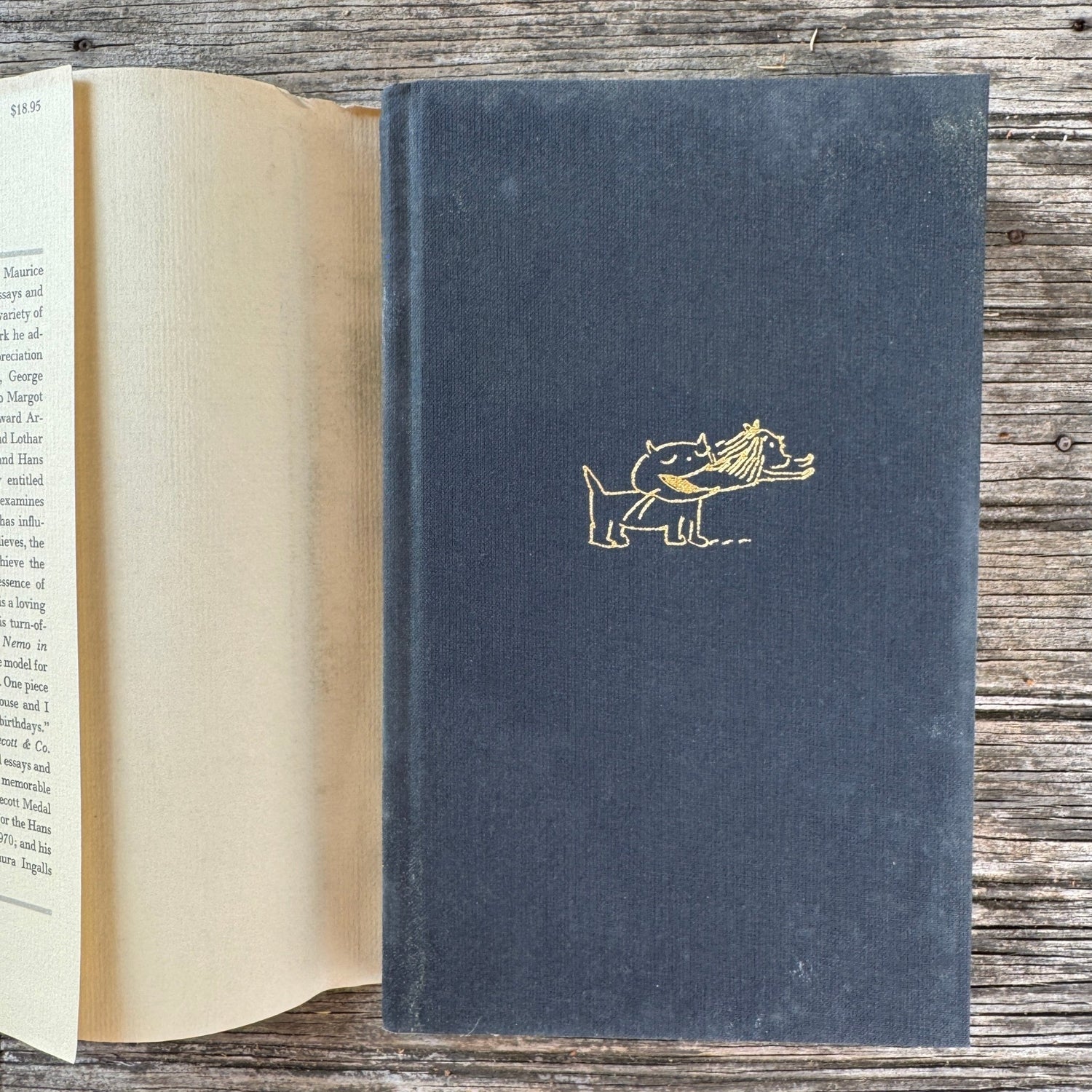Caldecott & Co., Notes on Books and Pictures, Maurice Sendak, 1988, First Edition - Pretty Old Books