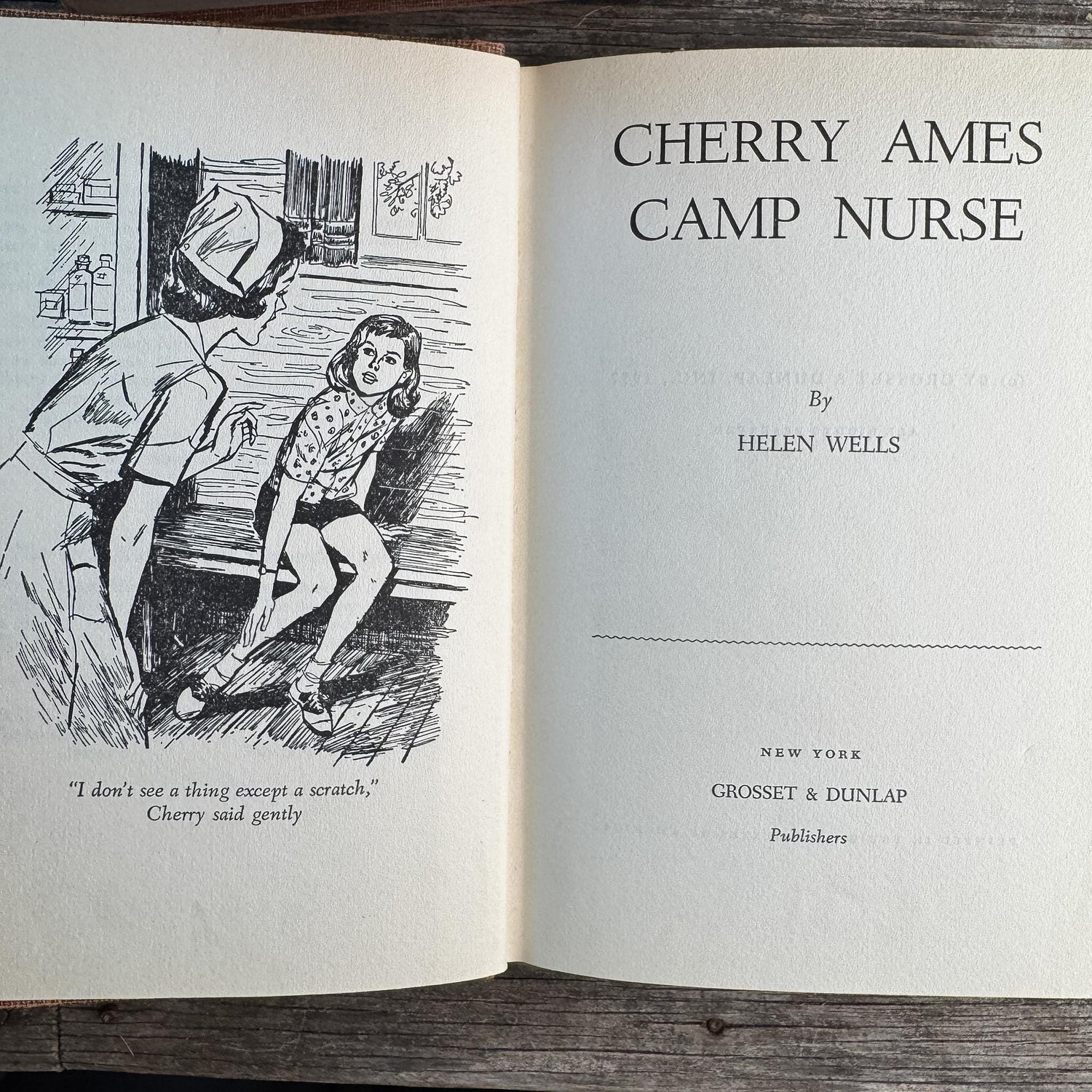 Cherry Ames Book Set for Girls, Vintage Rust Terra Cotta Neutral Book Bundle - Pretty Old Books
