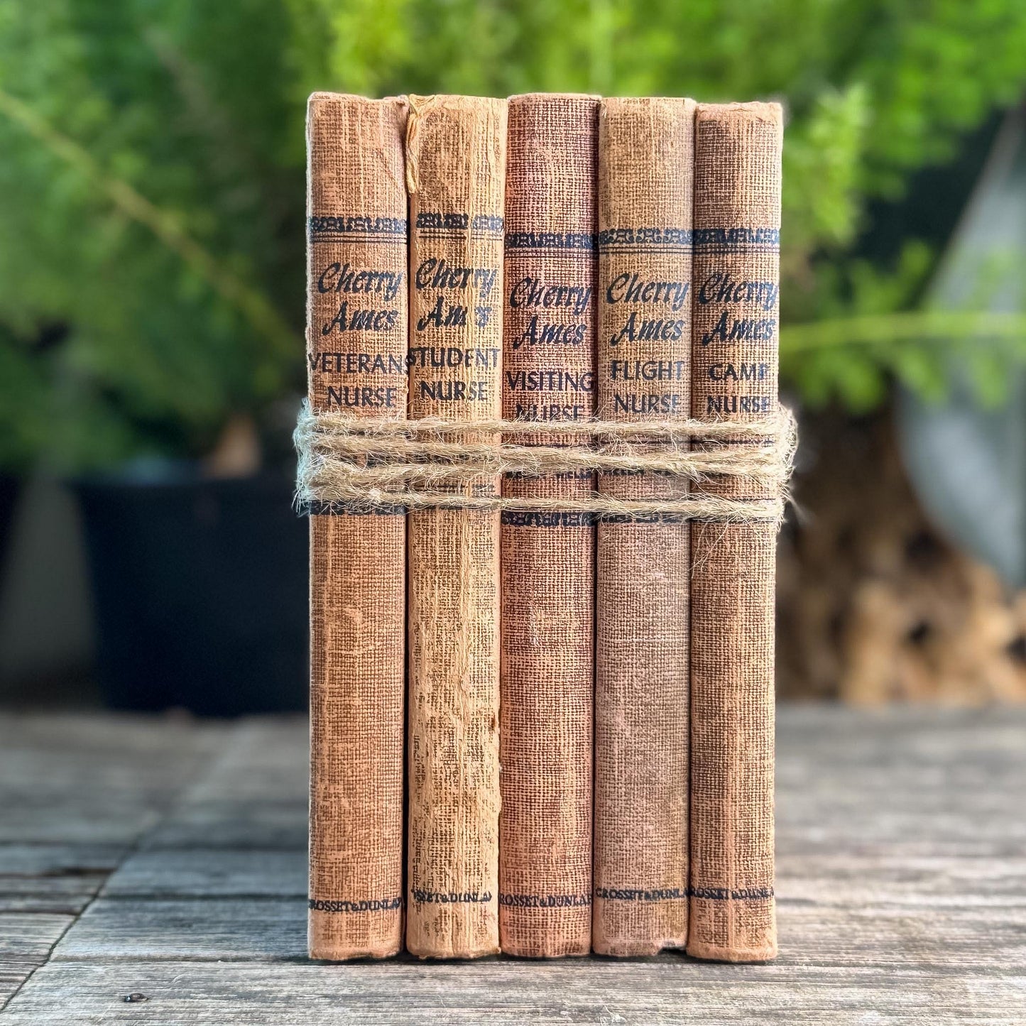 Cherry Ames Book Set for Girls, Vintage Rust Terra Cotta Neutral Book Bundle - Pretty Old Books