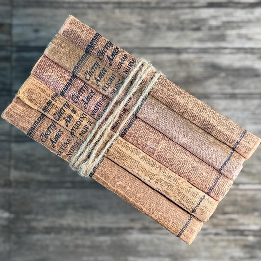 Cherry Ames Book Set for Girls, Vintage Rust Terra Cotta Neutral Book Bundle - Pretty Old Books