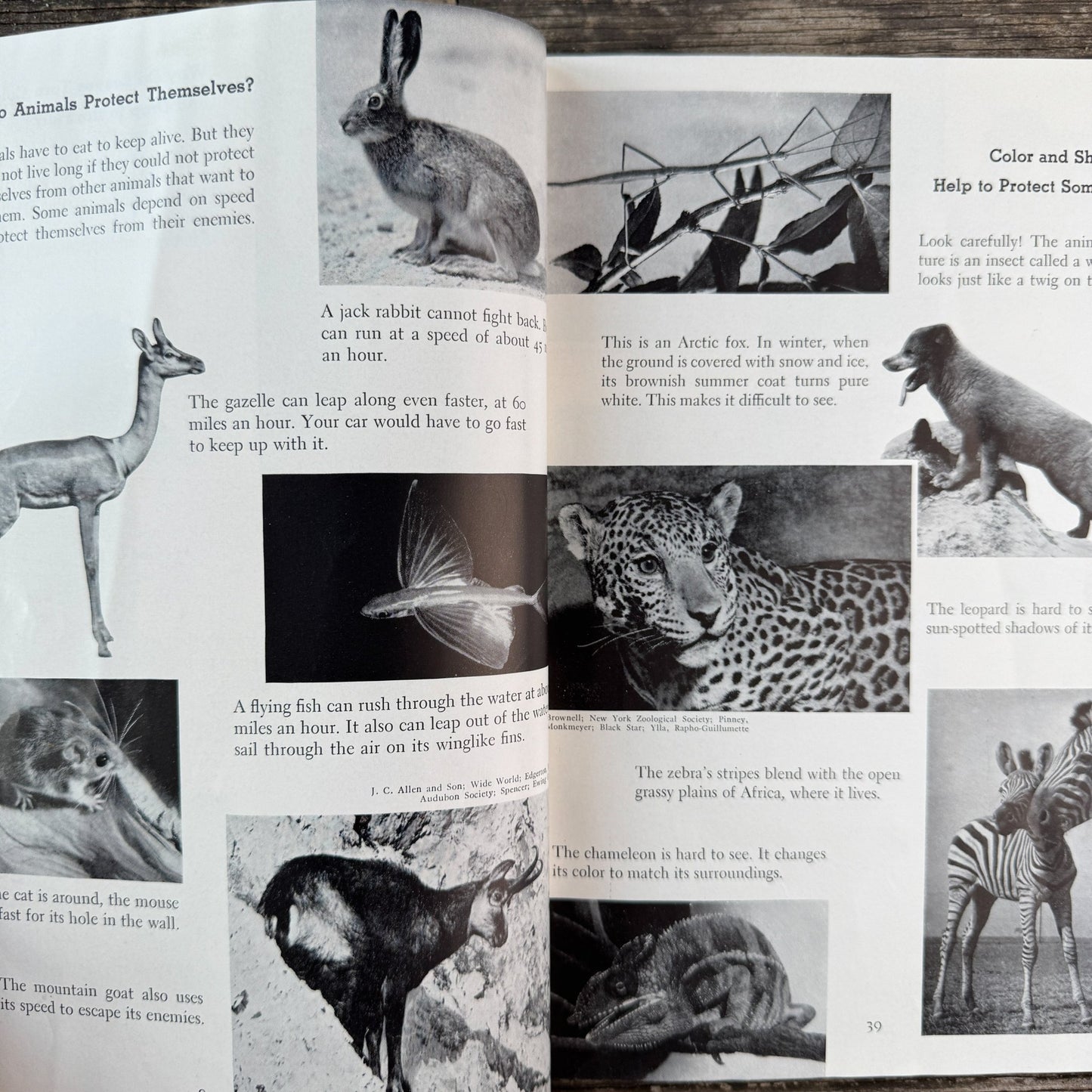 Childcraft Volume 9: Science and Industry, 1954 - Pretty Old Books