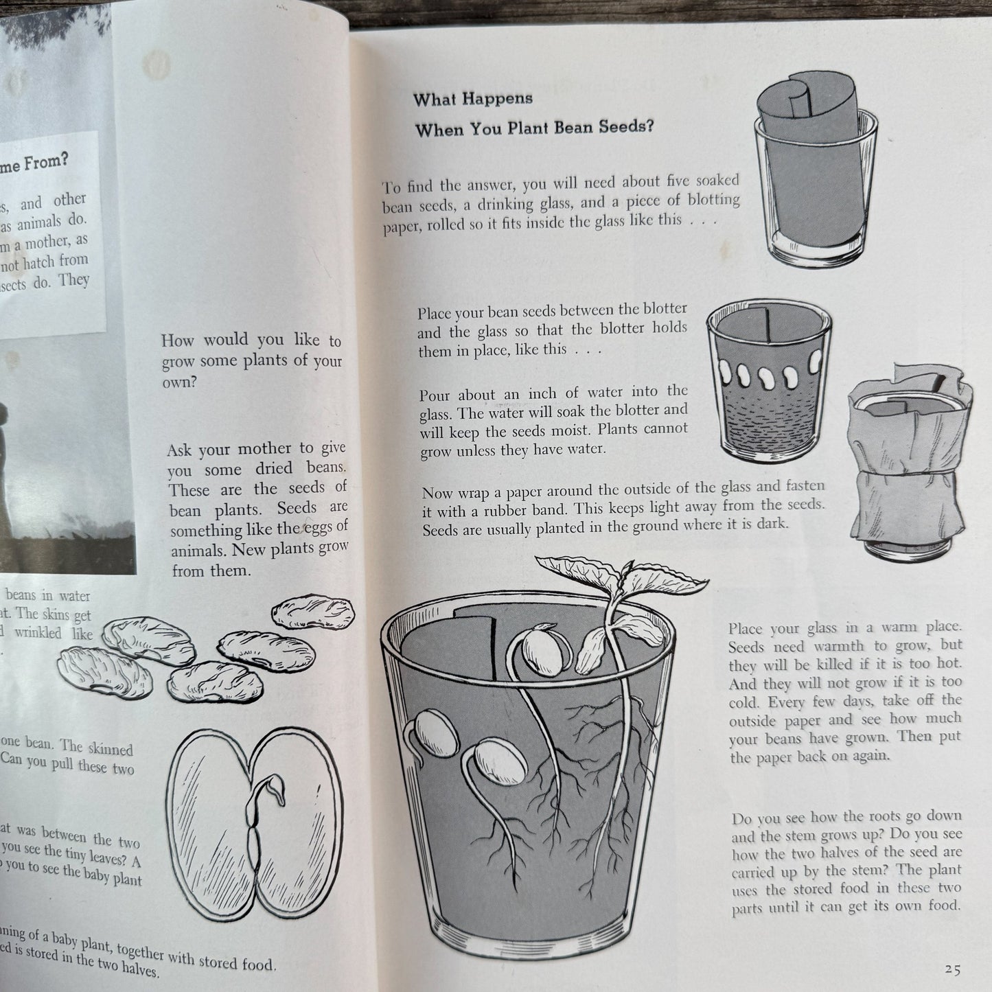 Childcraft Volume 9: Science and Industry, 1954 - Pretty Old Books