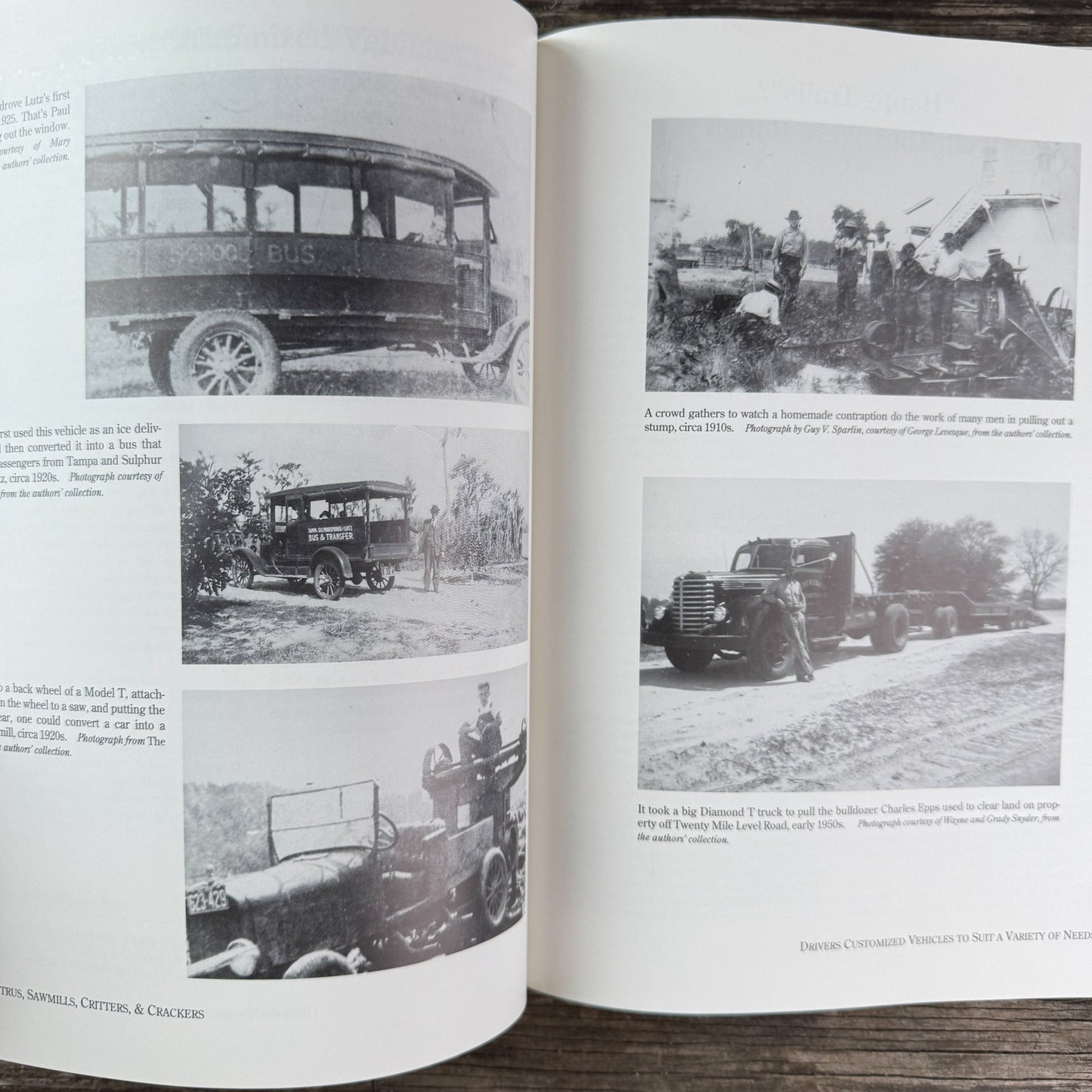 Citrus, Sawmills, Critters, & Crackers: Life in Early Lutz and Central Pasco County, 1998 - Pretty Old Books