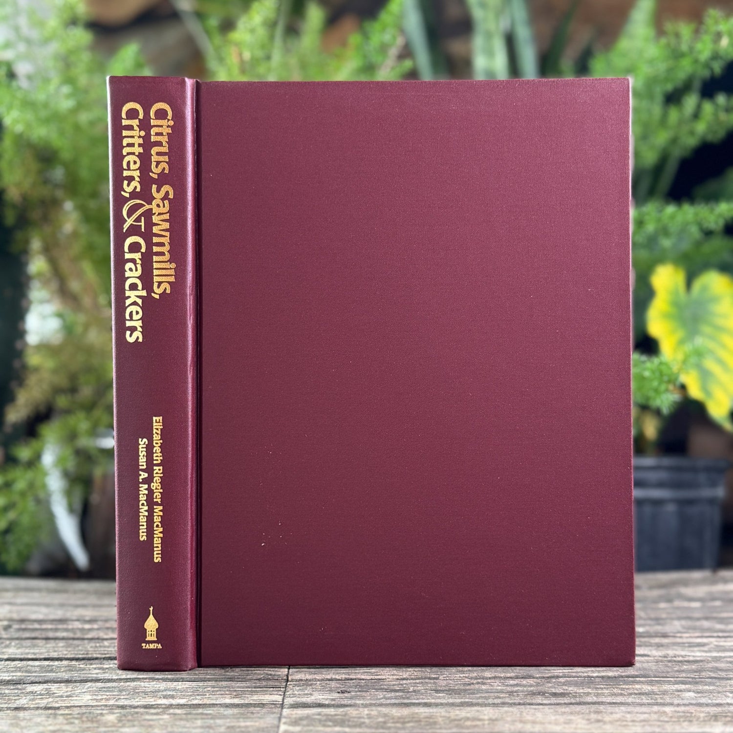 Citrus, Sawmills, Critters, & Crackers: Life in Early Lutz and Central Pasco County, 1998 - Pretty Old Books