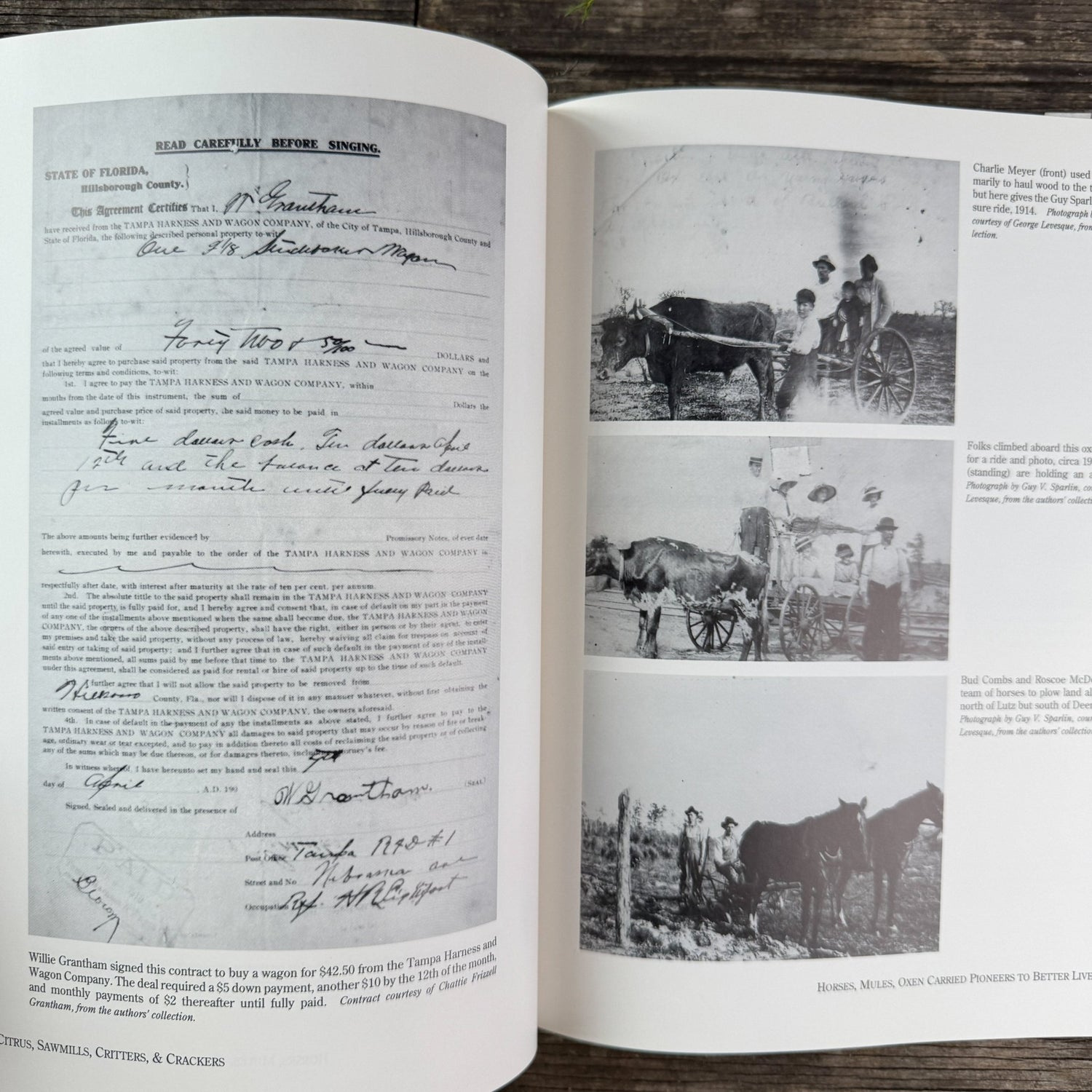 Citrus, Sawmills, Critters, & Crackers: Life in Early Lutz and Central Pasco County, 1998 - Pretty Old Books