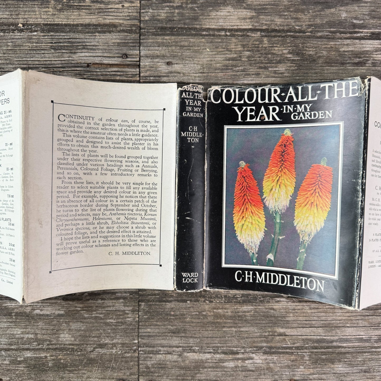 Colour All the Year in My Garden, C.H. Middleton, 1938 - Pretty Old Books