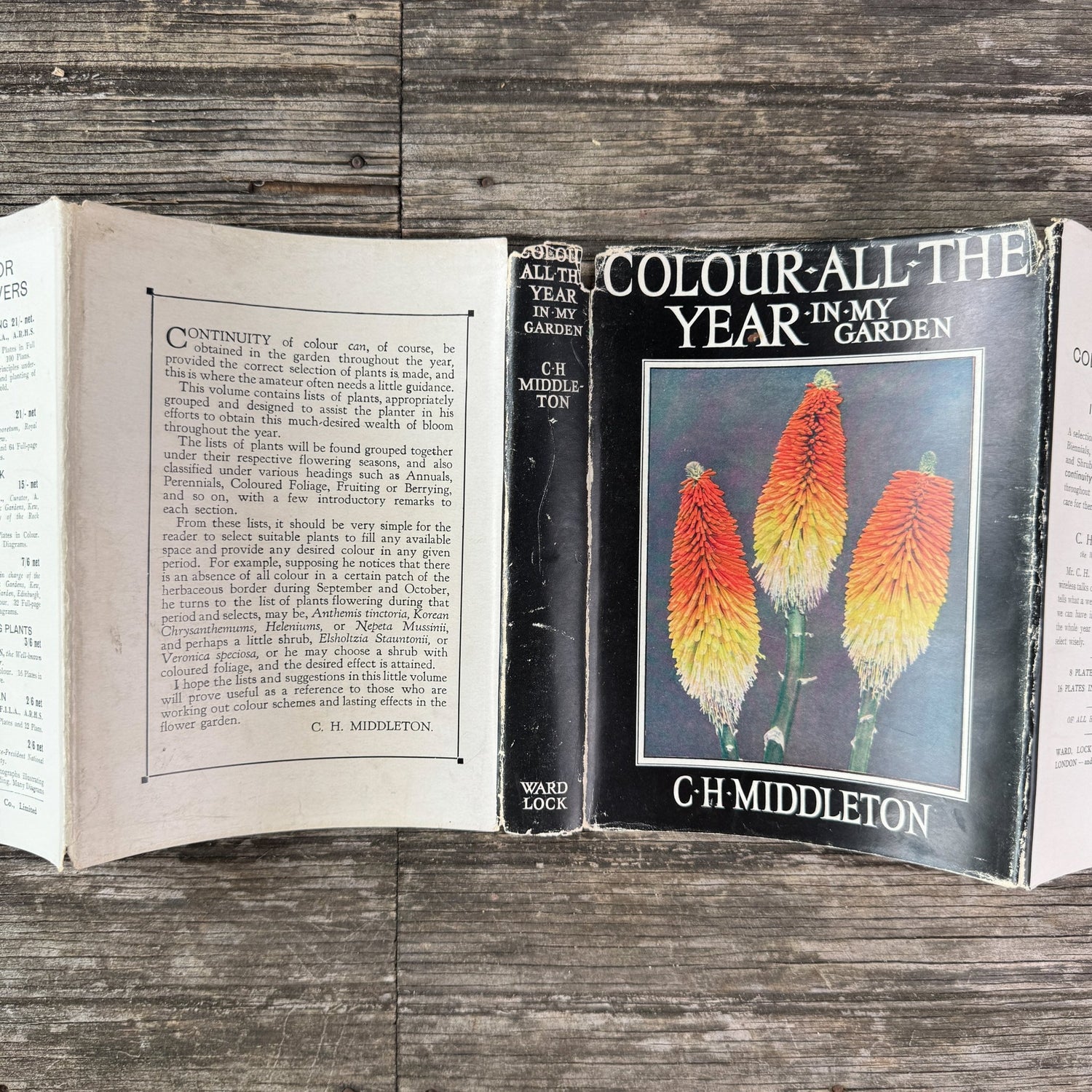 Colour All the Year in My Garden, C.H. Middleton, 1938 - Pretty Old Books