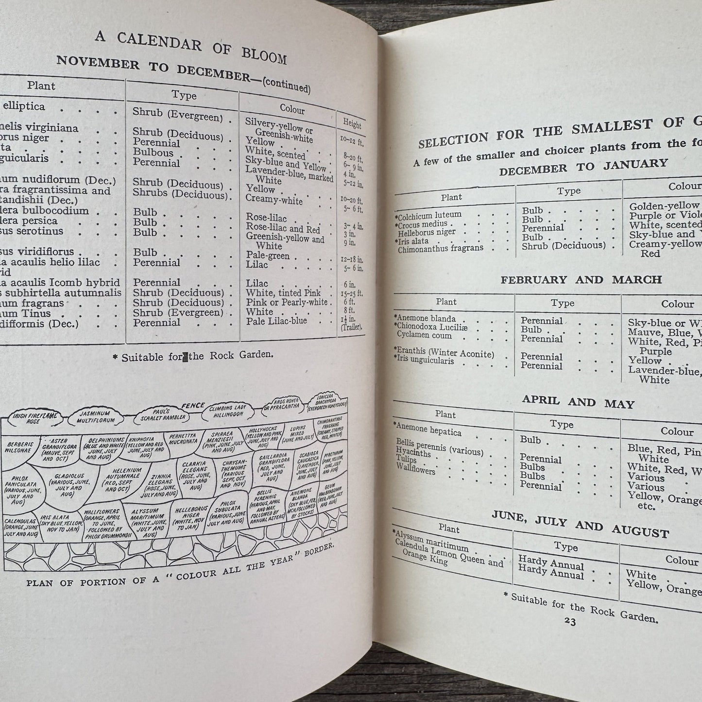 Colour All the Year in My Garden, C.H. Middleton, 1938 - Pretty Old Books