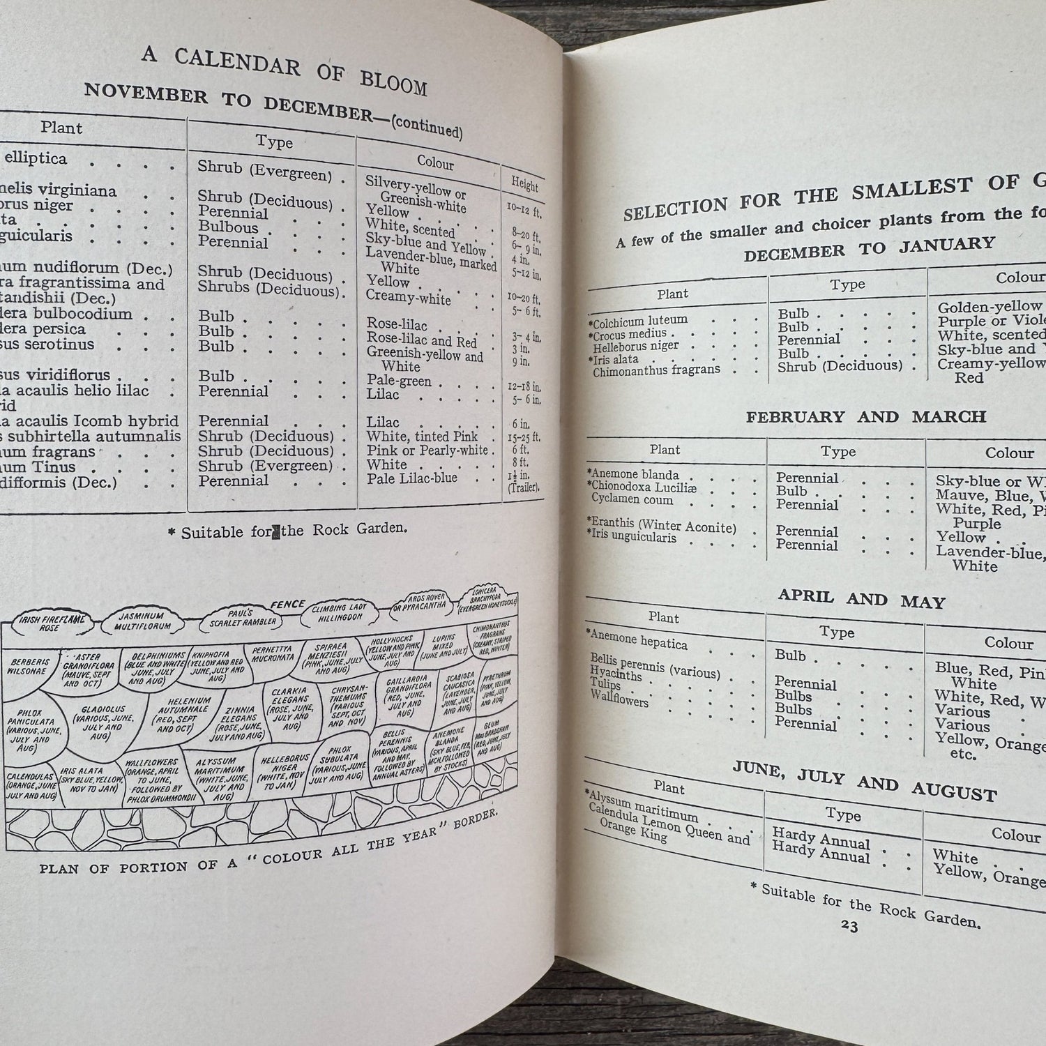 Colour All the Year in My Garden, C.H. Middleton, 1938 - Pretty Old Books