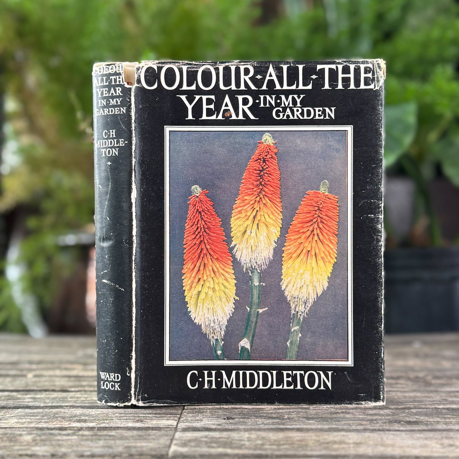 Colour All the Year in My Garden, C.H. Middleton, 1938 - Pretty Old Books