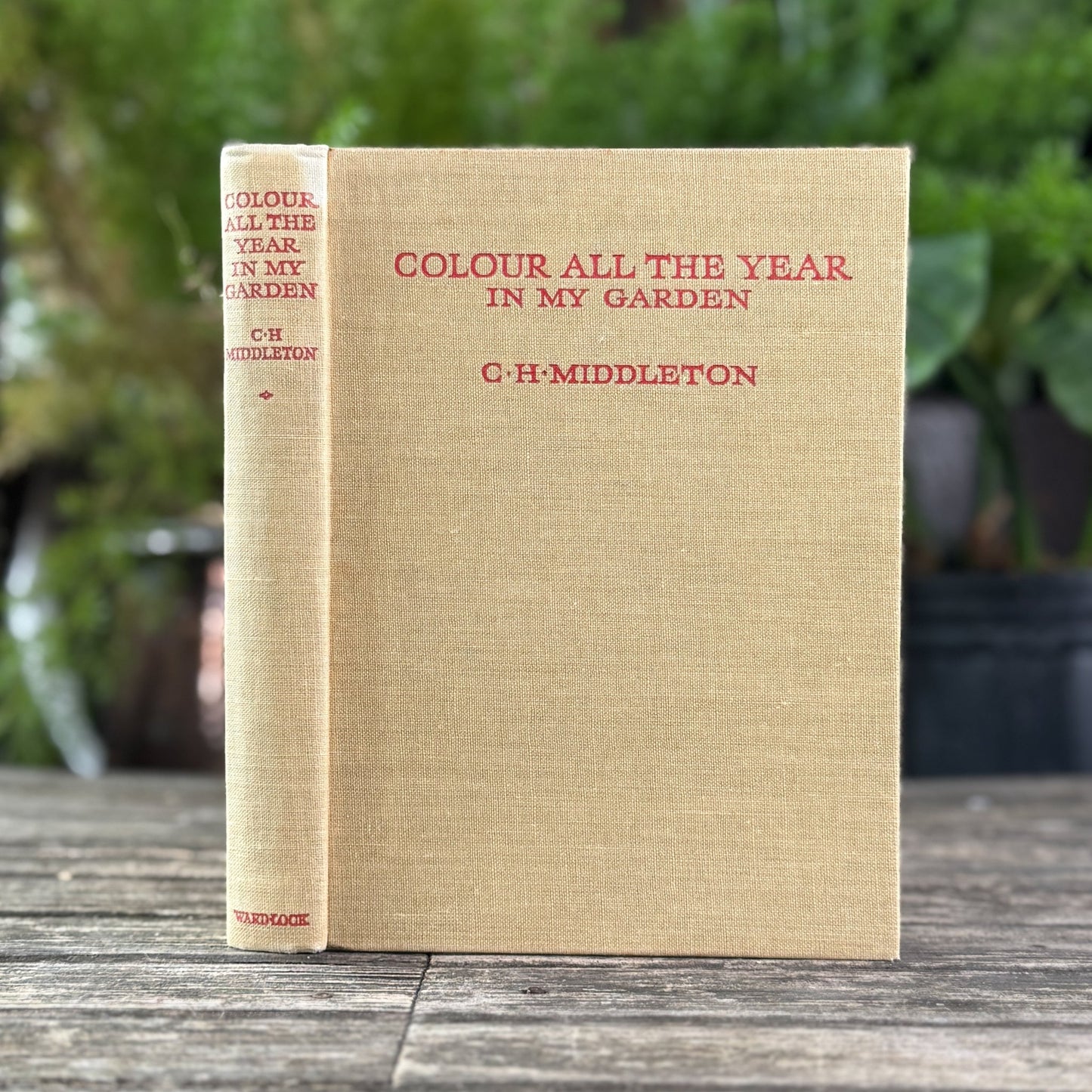 Colour All the Year in My Garden, C.H. Middleton, 1938 - Pretty Old Books