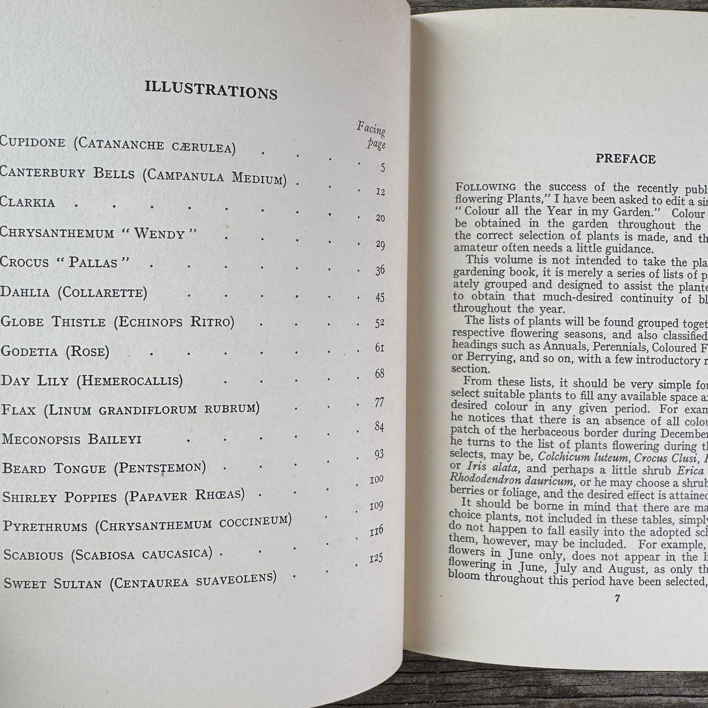 Colour All the Year in My Garden, C.H. Middleton, 1938 - Pretty Old Books