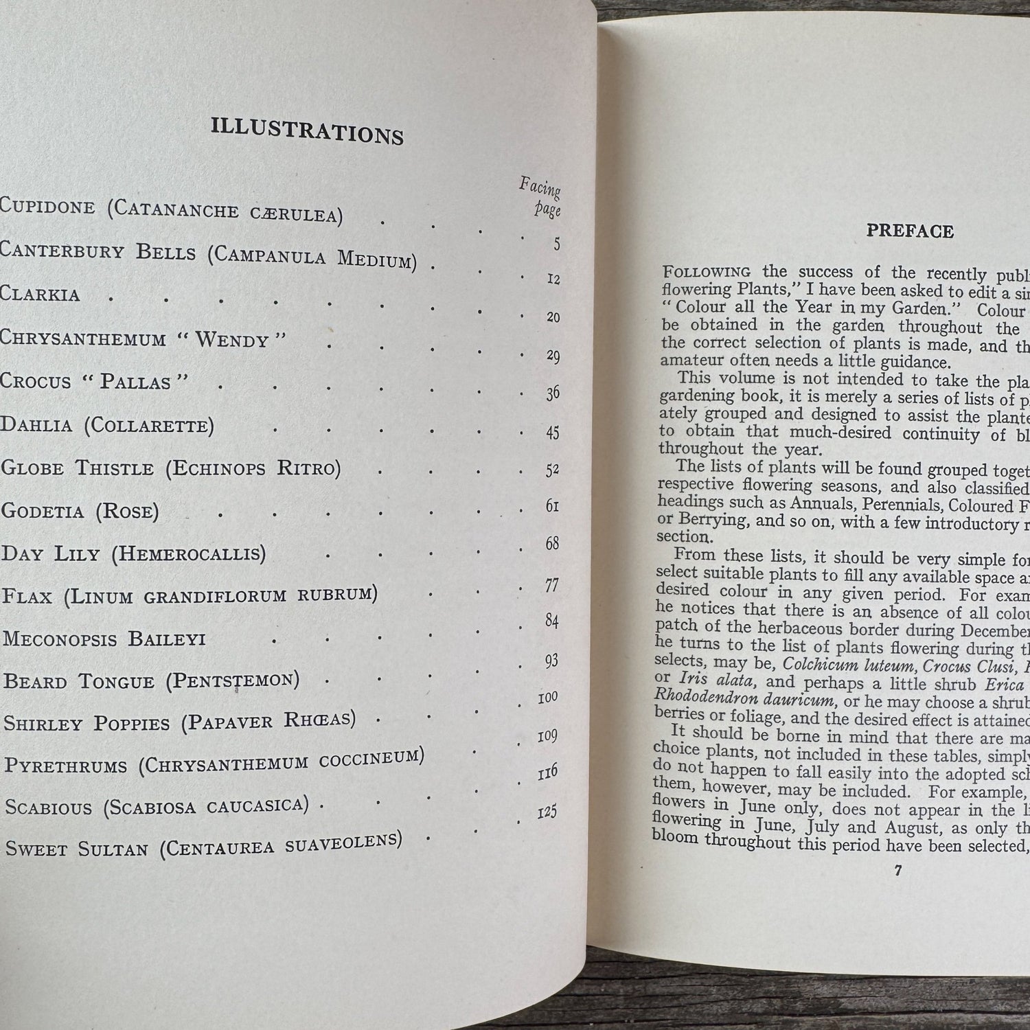 Colour All the Year in My Garden, C.H. Middleton, 1938 - Pretty Old Books