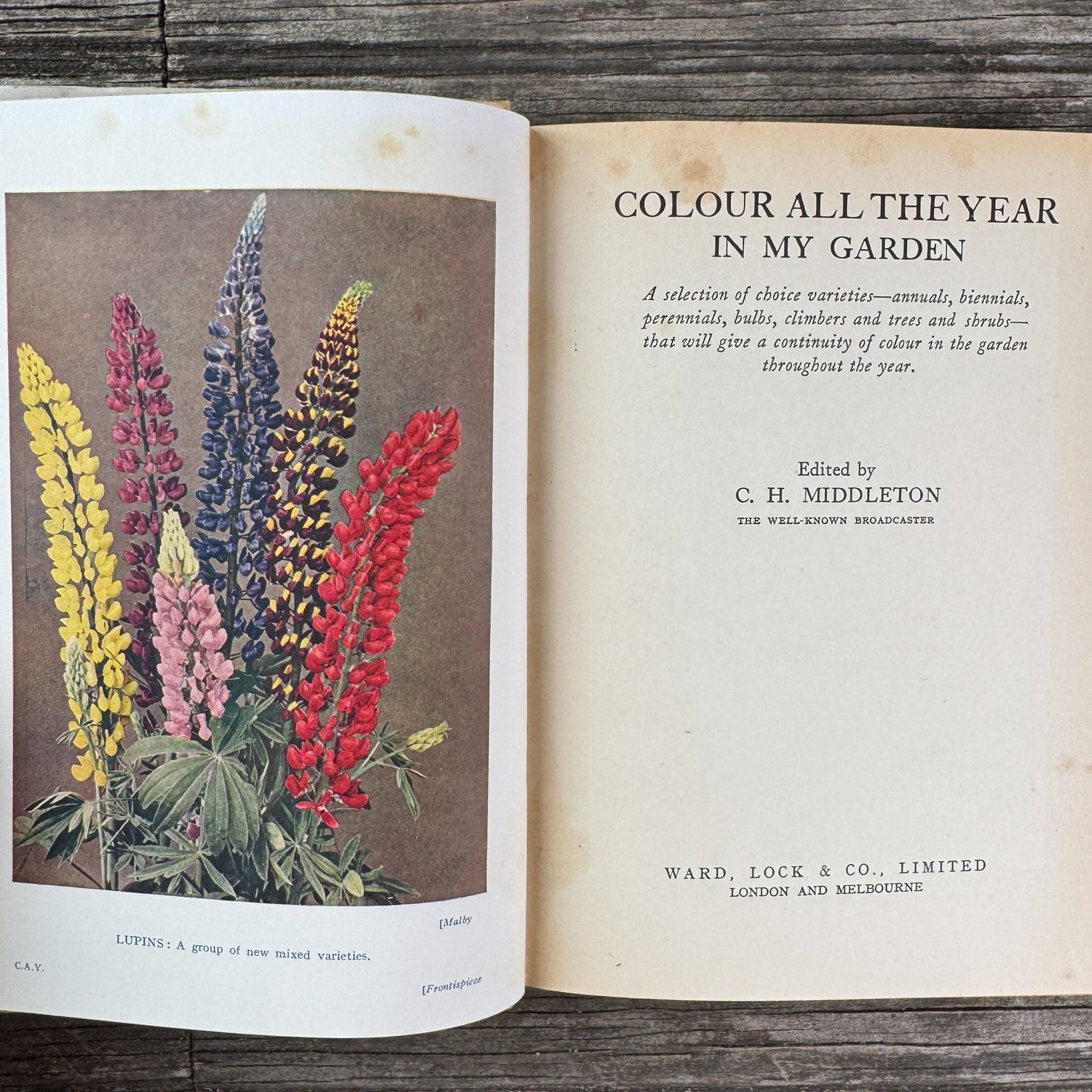 Colour All the Year in My Garden, C.H. Middleton, 1938 - Pretty Old Books