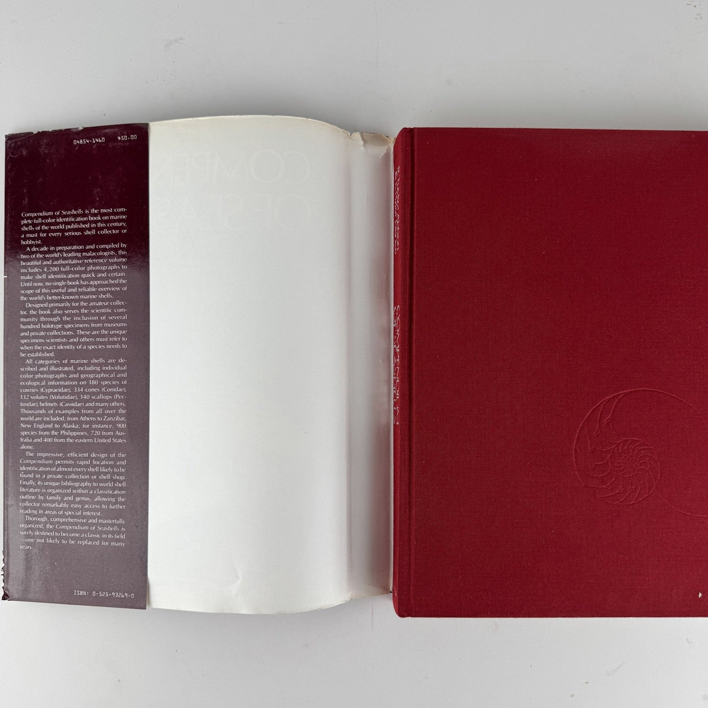 Compendium of Seashells, 1982 First Edition, Hardcover with DJ, Abbott & Dance - Pretty Old Books