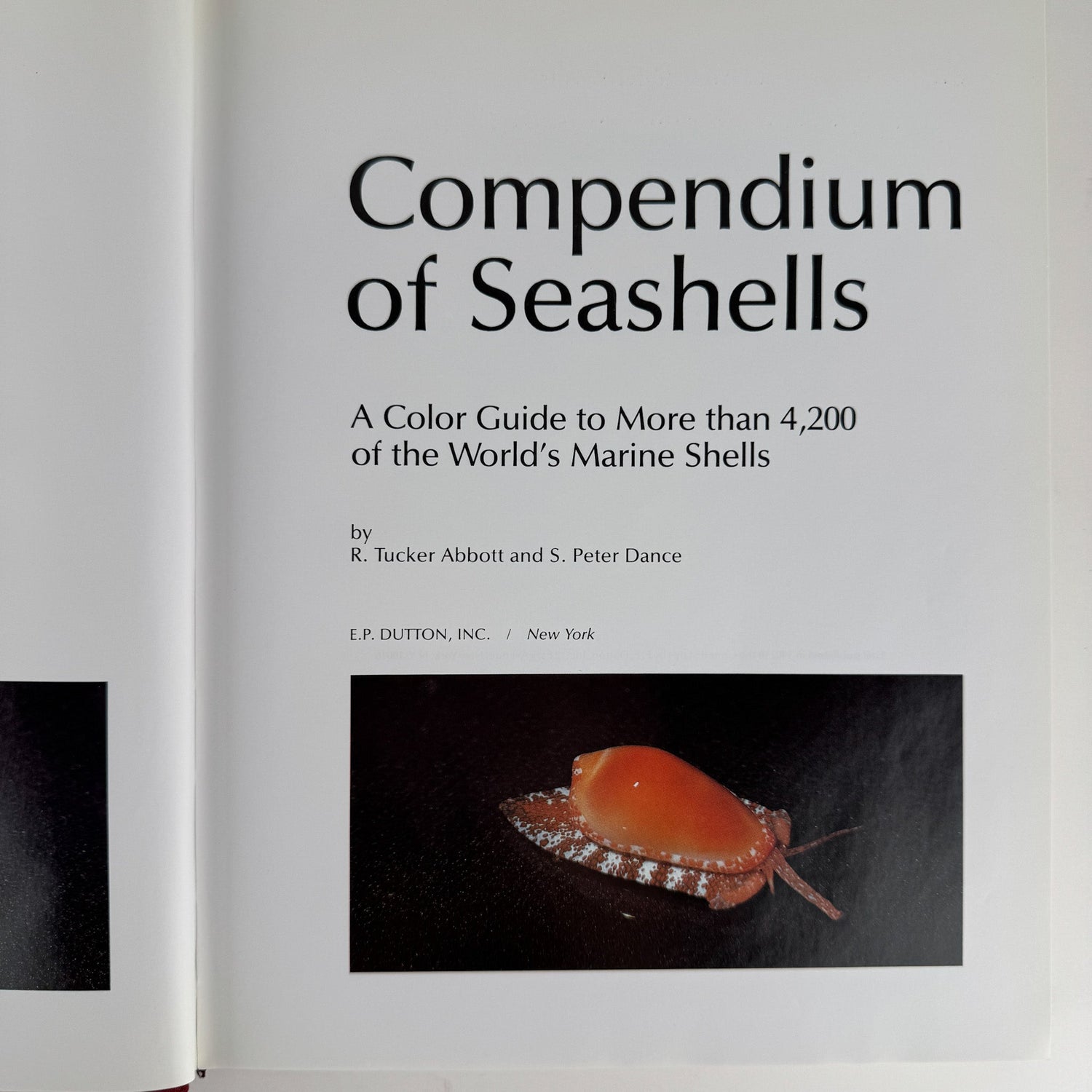Compendium of Seashells, 1982 First Edition, Hardcover with DJ, Abbott & Dance - Pretty Old Books