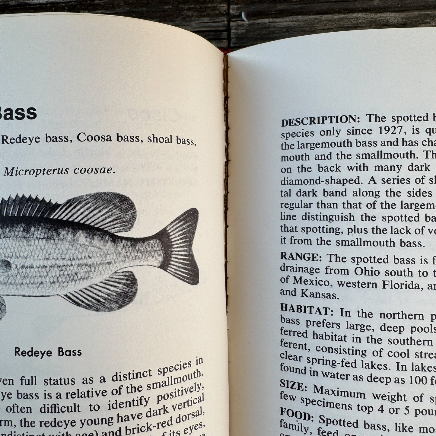 Complete Outdoors Encyclopedia 1972 Hardcover with Dust Jacket - Pretty Old Books