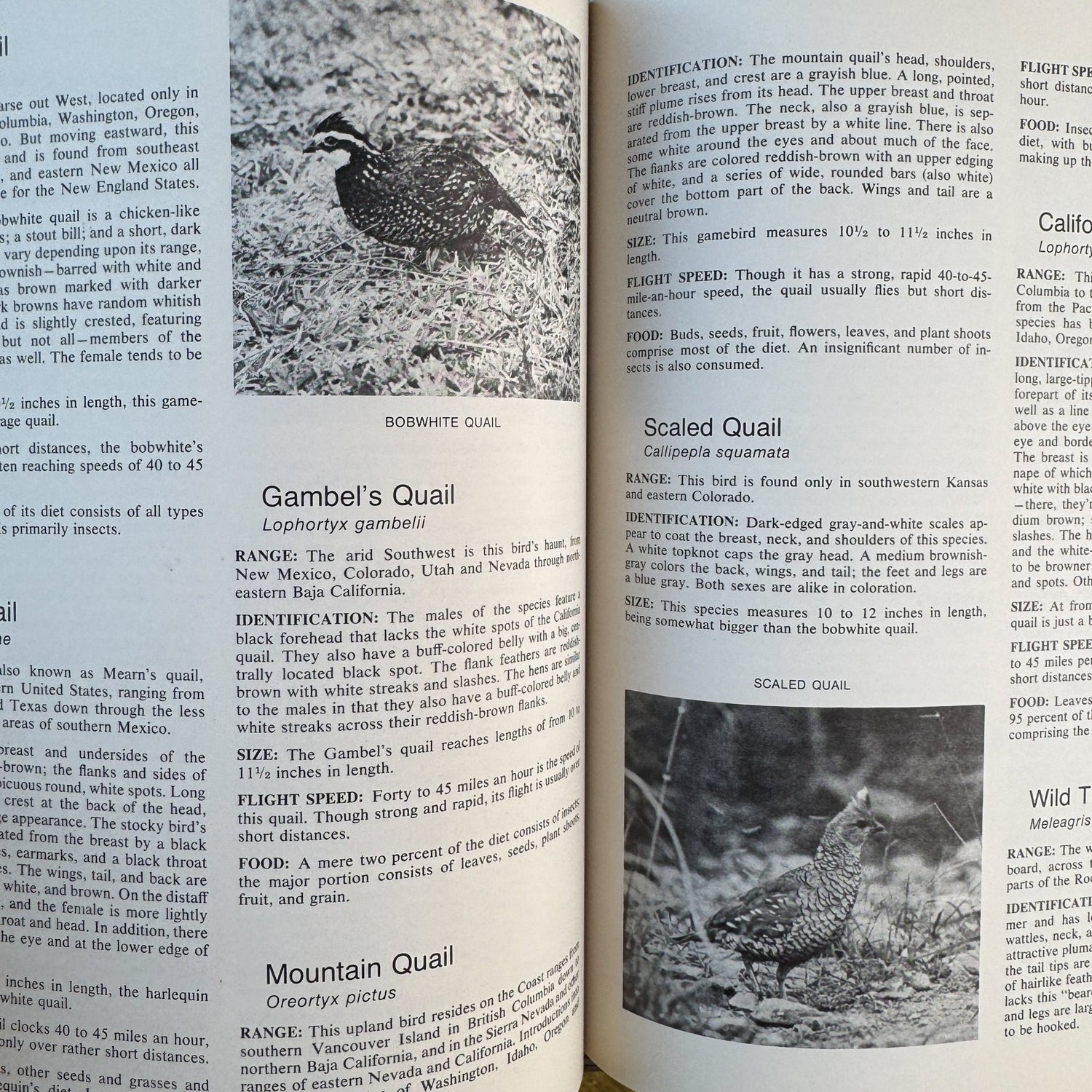 Complete Outdoors Encyclopedia 1972 Hardcover with Dust Jacket - Pretty Old Books