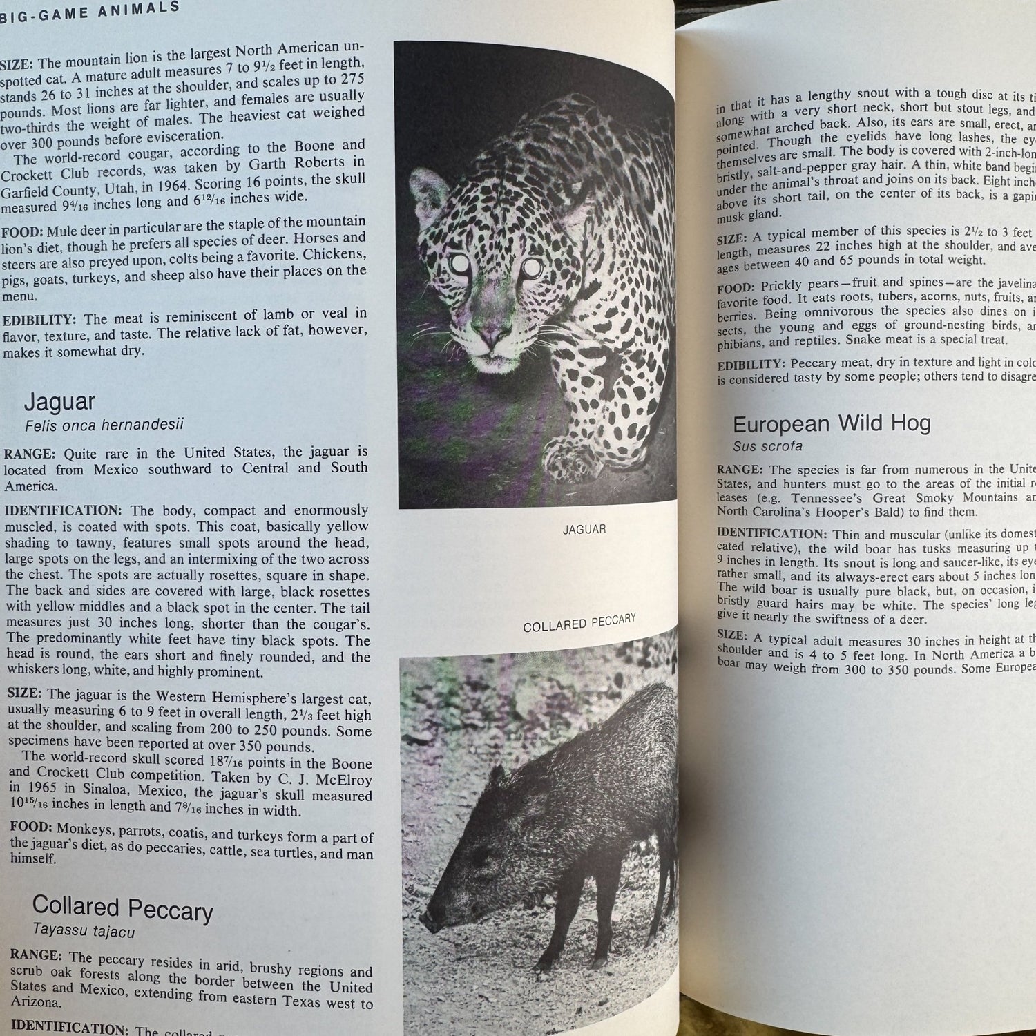 Complete Outdoors Encyclopedia 1972 Hardcover with Dust Jacket - Pretty Old Books