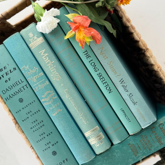 Cozy Teal and Turquoise Book Set for Bookshelf Decor - Pretty Old Books