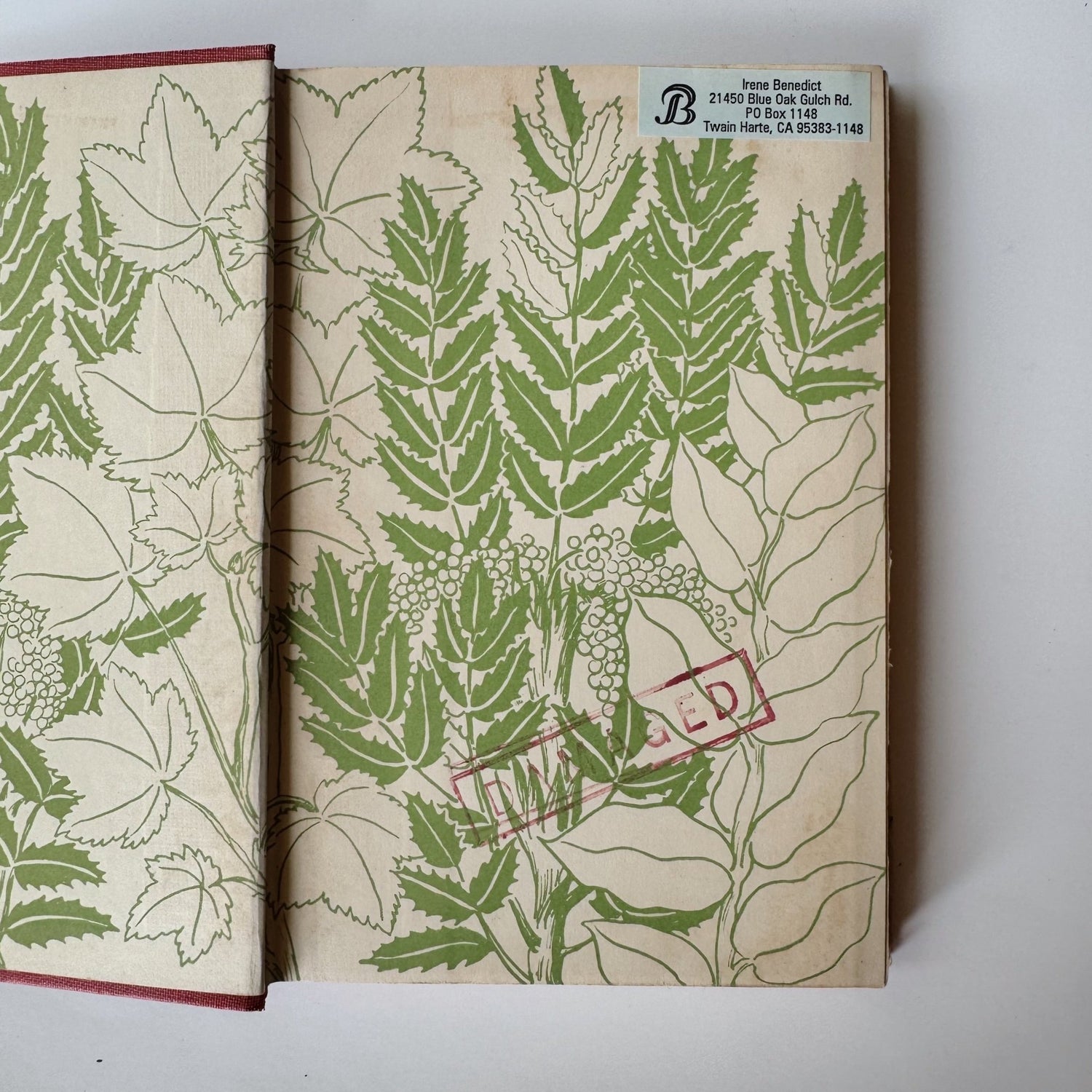 Crazy Creek, Evelyn Sibley Lampman, 1949 Hardcover with Jacket - Pretty Old Books
