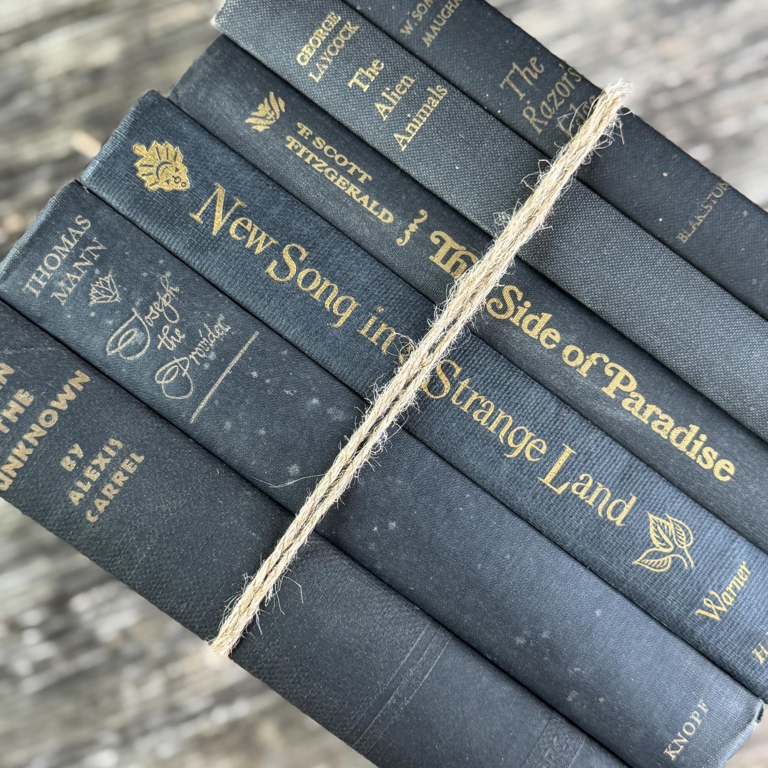 Black Vintage Book Bundles