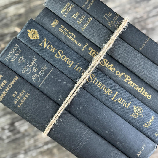 Dark Gray and Faded Black Masculine Mid Century Books for Shelf Styling - Pretty Old Books