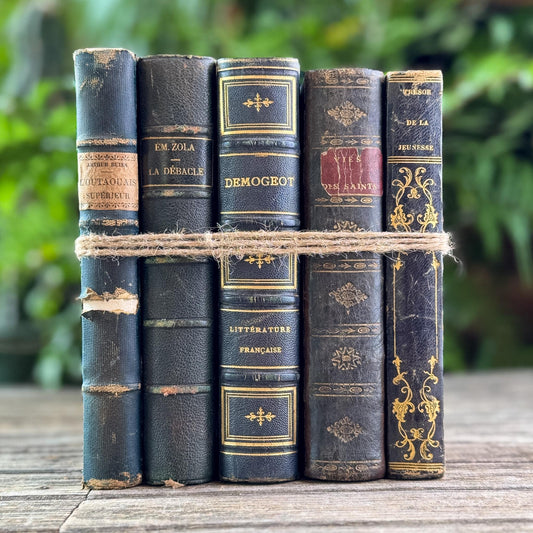 Dark Moody Green, Blue & Black French Leather Antique Book Set - Pretty Old Books