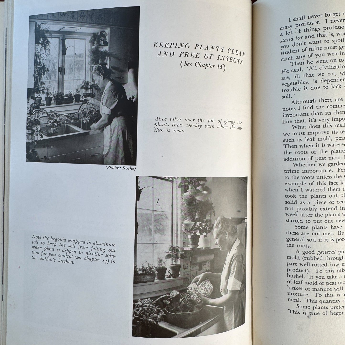 Decorating With House Plants, Ruth Gannon, 1952 - Pretty Old Books