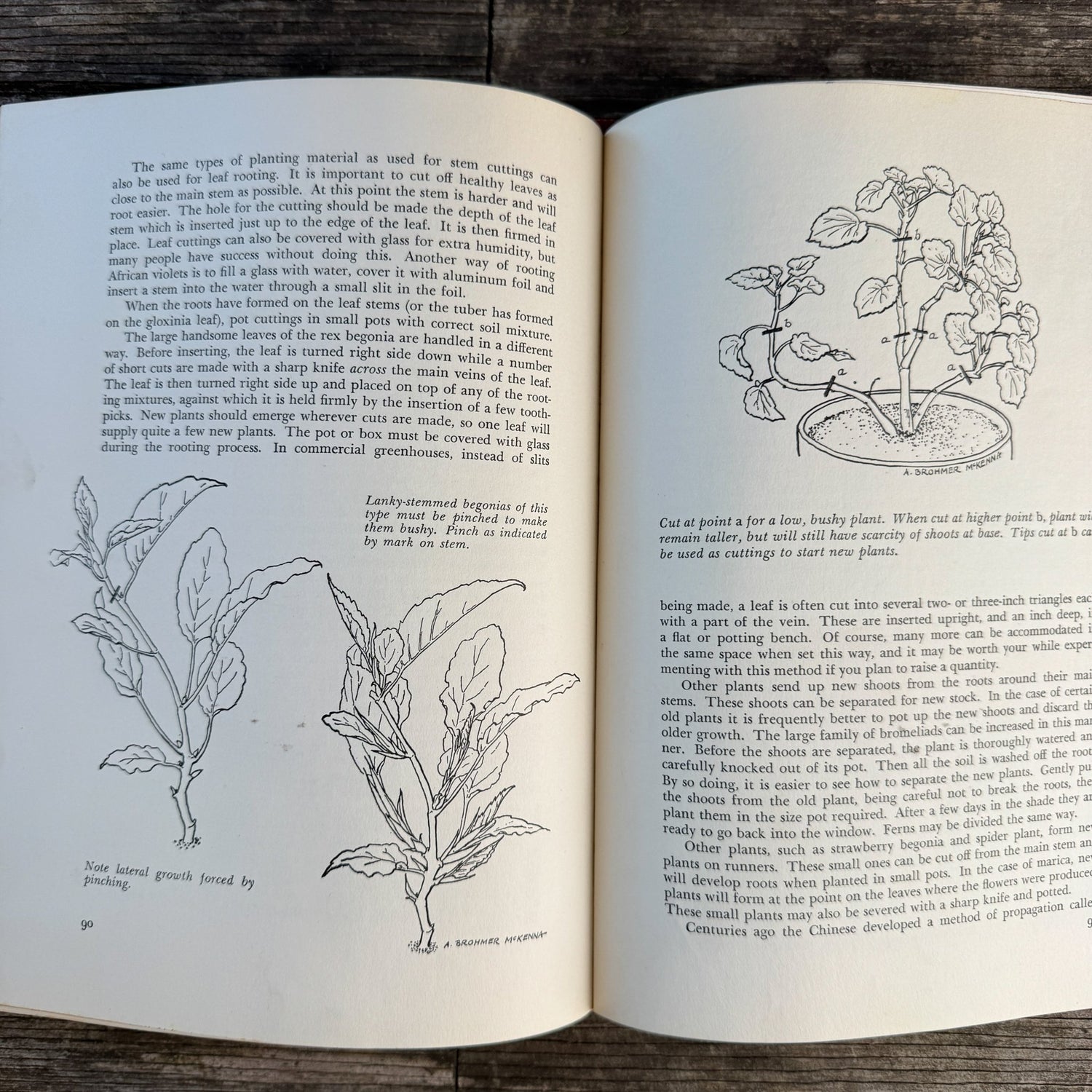 Decorating With House Plants, Ruth Gannon, 1952 - Pretty Old Books