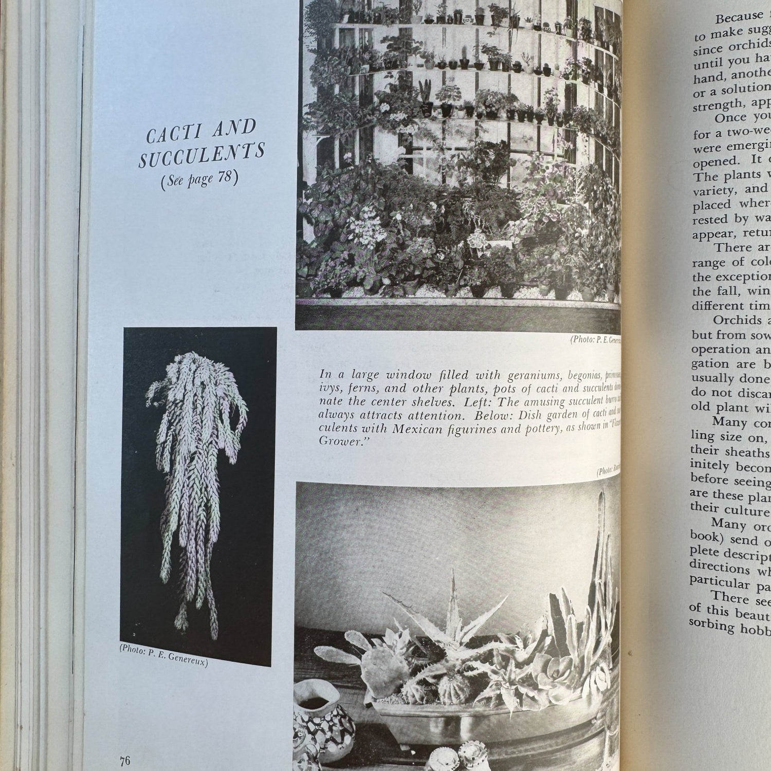 Decorating With House Plants, Ruth Gannon, 1952 - Pretty Old Books