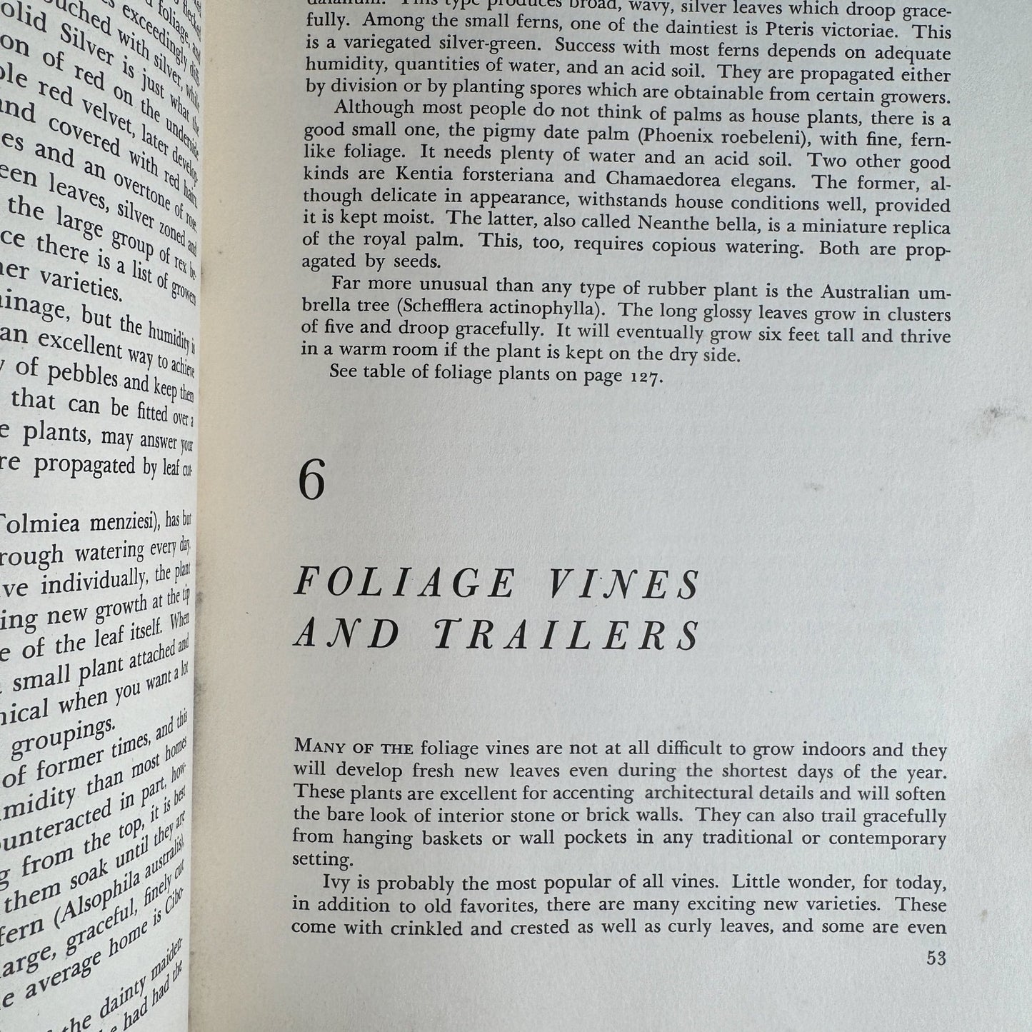Decorating With House Plants, Ruth Gannon, 1952 - Pretty Old Books