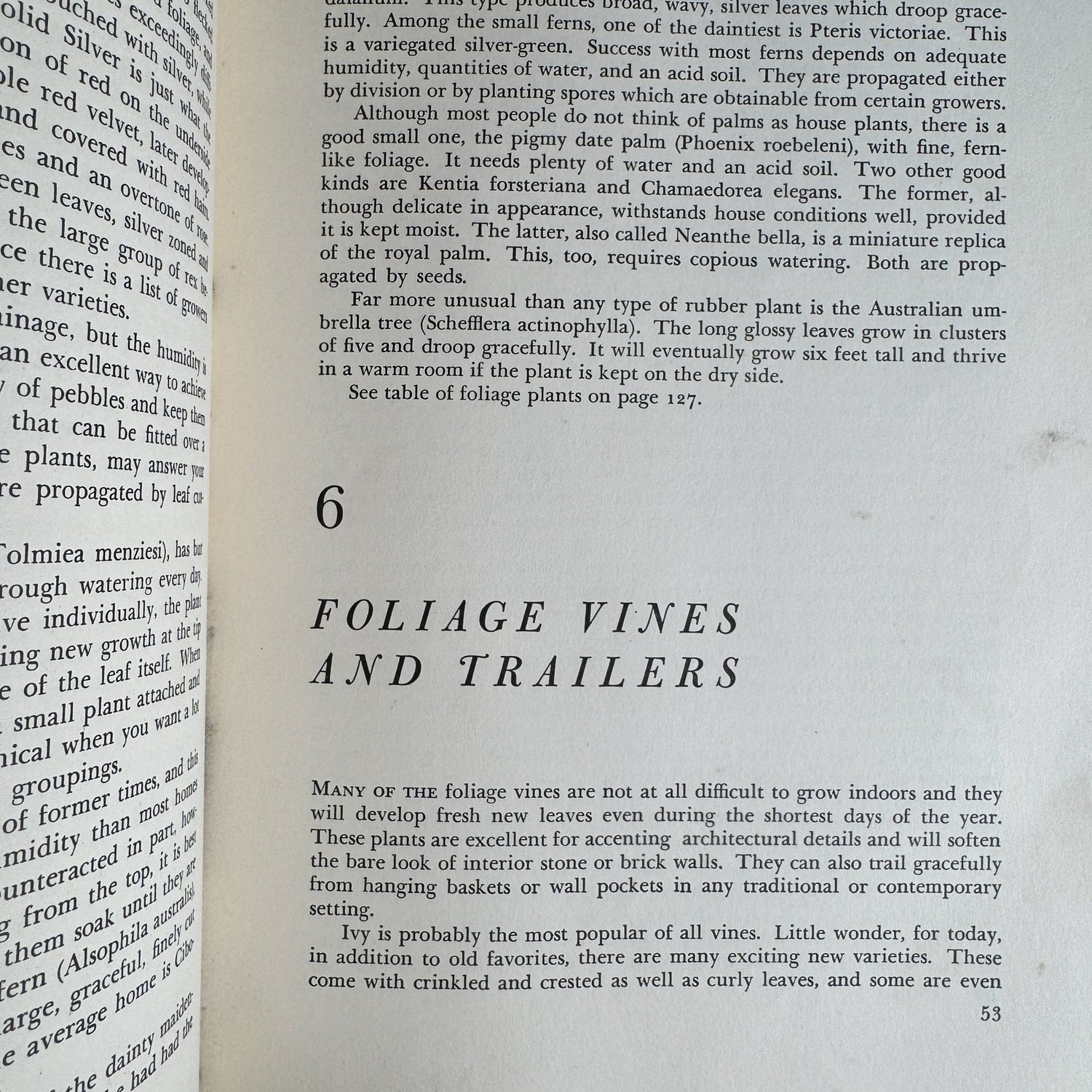 Decorating With House Plants, Ruth Gannon, 1952 - Pretty Old Books