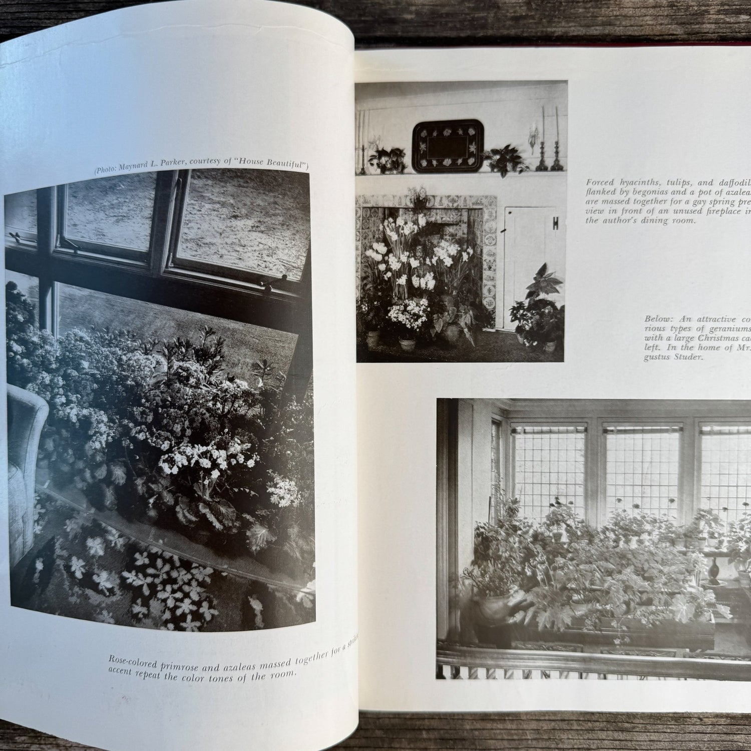 Decorating With House Plants, Ruth Gannon, 1952 - Pretty Old Books
