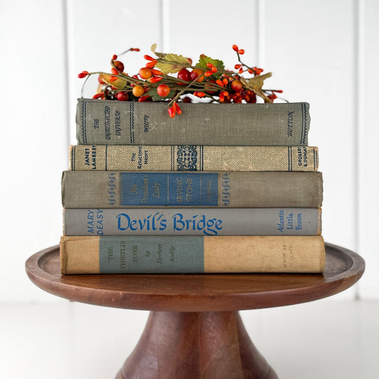 Decorative Cozy Beige, Gray, and Blue Vintage Books for Decor, Bookshelf Decor - Pretty Old Books