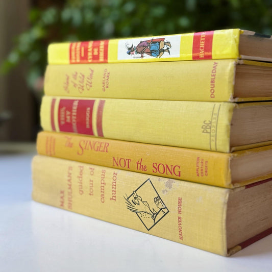 Decorative Vintage Red and Yellow Book Set for Shelf Styling - Pretty Old Books